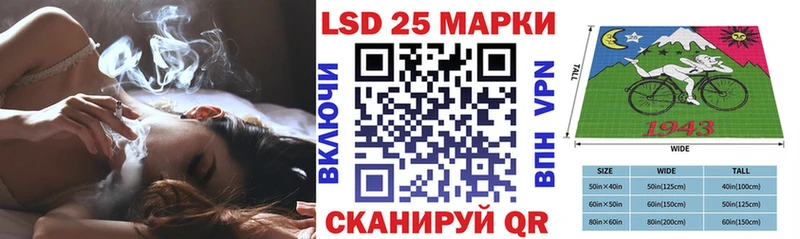 Марки N-bome 1,8мг кракен зеркало Каменногорск
