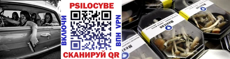 купить наркотик  Каменногорск  Галлюциногенные грибы мицелий 